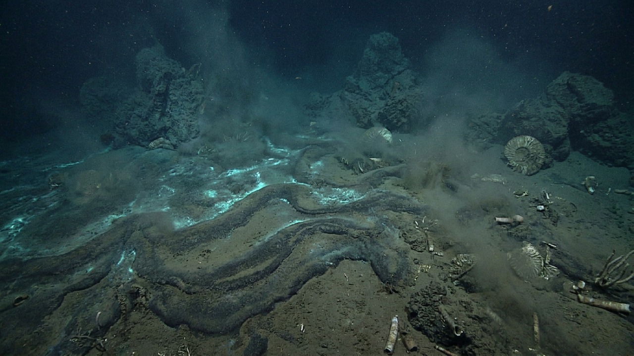 O que hoje parece um deserto no Marrocos já foi o leito de um mar bem profundo e escuro com duzentos metros de água milhões de anos atrás Formações rochosas no Alto Atlas revelam que a região árida já foi um oceano profundo e escuro durante o Jurássico.