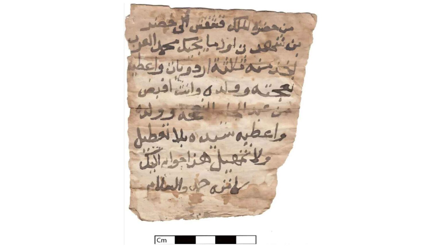 Um documento árabe do século XVII aparece no lixo, o que ele mostra sobre o dia a dia muda a história oficial daquela época A ordem do papel árabe descoberta na Velha Dongola oferece evidências raras de autoridade política e administração diária na Núbia pós-medieval.