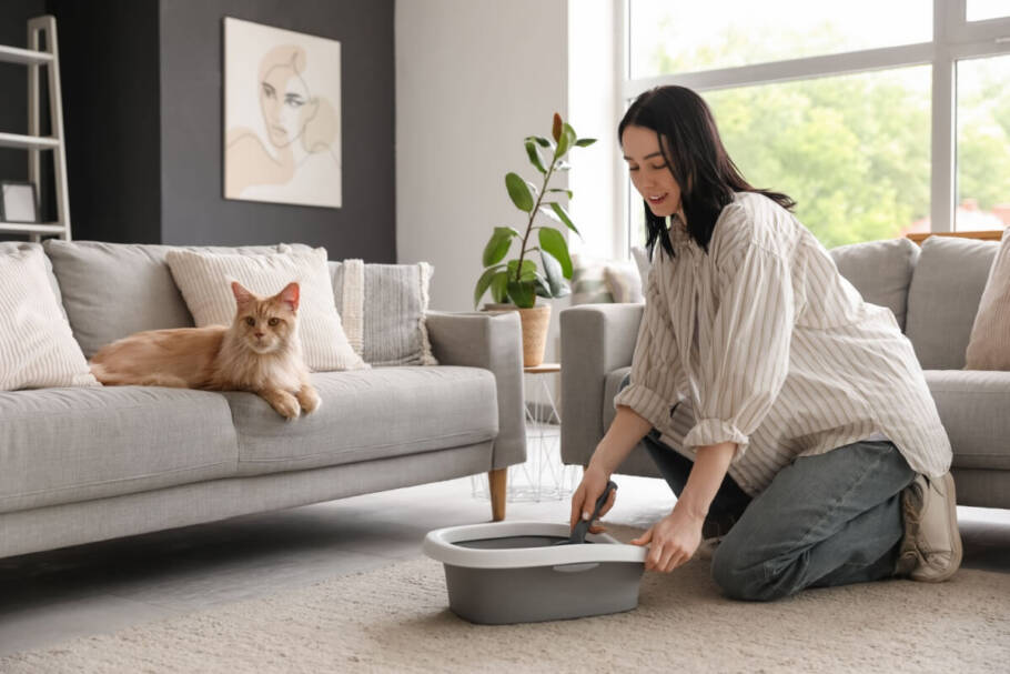 5 motivos para investir na areia de mandioca para gatos A areia de mandioca produz uma quantidade menor de partículas suspensas no ar, o que pode ajudar no conforto respiratório dos gatos (Imagem: Pixel-Shot | Shutterstock)