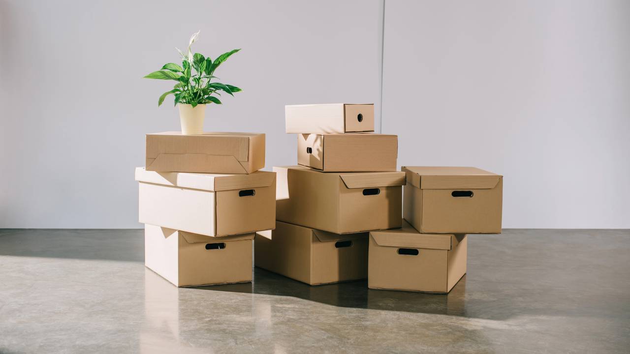 Antes de jogar fora a caixa de papelão, muita gente está usando esse truque para organizar gavetas e prateleiras.