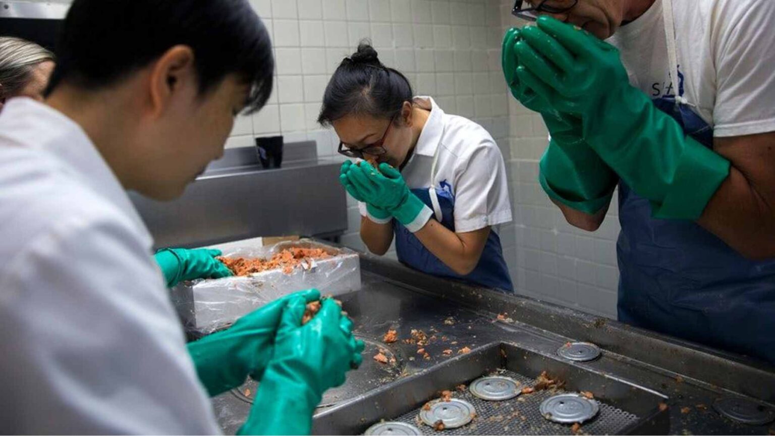 Pesquisadores abriram latas de salmão do Alasca guardadas há décadas e descobriram um registro oceânico oculto dentro delas, vermes parasitas mortos que permitiram rastrear mudanças na cadeia alimentar durante 42 anos, com a quantidade desses parasitas subindo nos salmões chum e rosa, mas ficando estável nos tipos coho e sockeye Ao analisar 178 latas de salmão do Alasca ao longo de 42 anos, os pesquisadores usaram parasitas preservados para reconstruir mudanças históricas na conectividade da teia alimentar marinha.