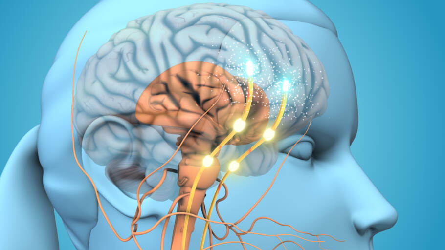 Proteína descoberta no cérebro pode abrir caminho para frear o Parkinson Uma proteína recém-identificada, chamada GPNMB, pode desempenhar um papel importante na disseminação da doença de Parkinson pelo cérebro