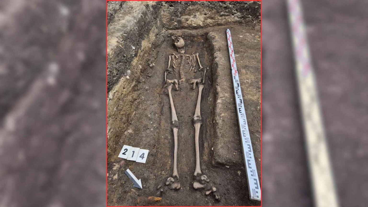 O que parecia ser uma sorveteria na cidade de Gdansk na Polônia escondia um cemitério medieval com quase trezentas sepulturas e essa descoberta surpreendente inclui um esqueleto completo embaixo de uma lápide de cavaleiro com mais de um metro esculpida entre os séculos treze e quatorze O esqueleto foi encontrado sob a laje de cavaleiro esculpida, dando aos arqueólogos raras evidências humanas do cemitério medieval de Gdańsk.