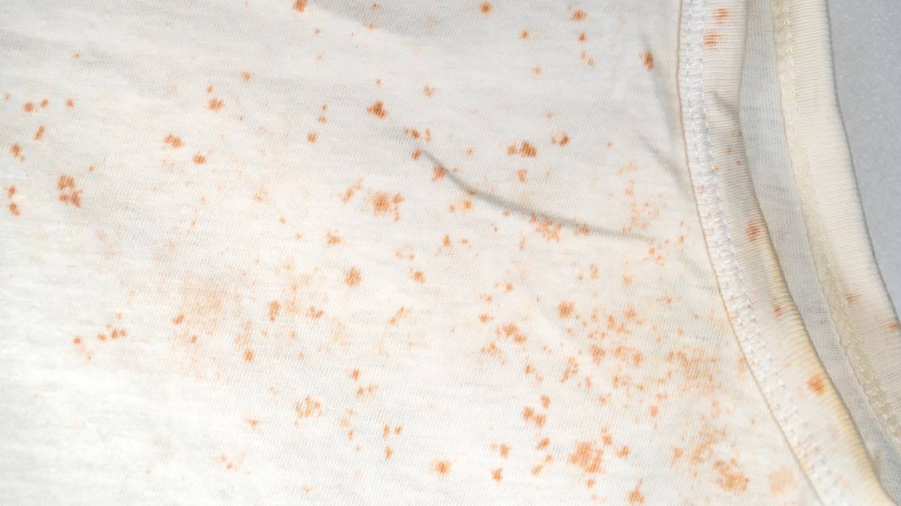 Dica prática: veja como remover manchas de mofo de roupas guardadas sem precisar jogar fora Roupas mofadas podem voltar ao normal com limpeza correta, ventilação e um truque simples contra umidade.