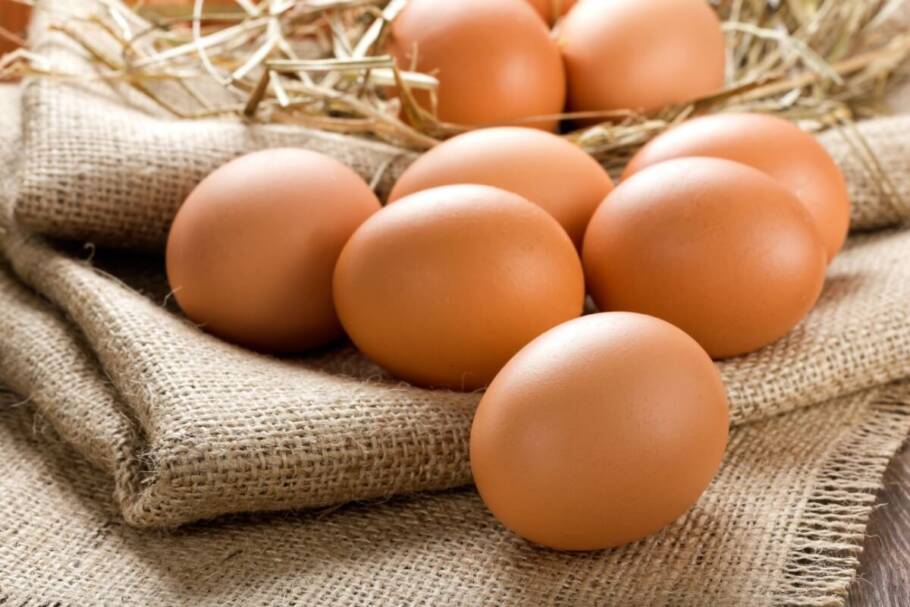 Ovo na alimentação dos idosos: veja os principais benefícios para a saúde A proteína do ovo ajuda a combater a perda de massa muscular nos idosos (Imagem: Sea Wave | Shutterstock)