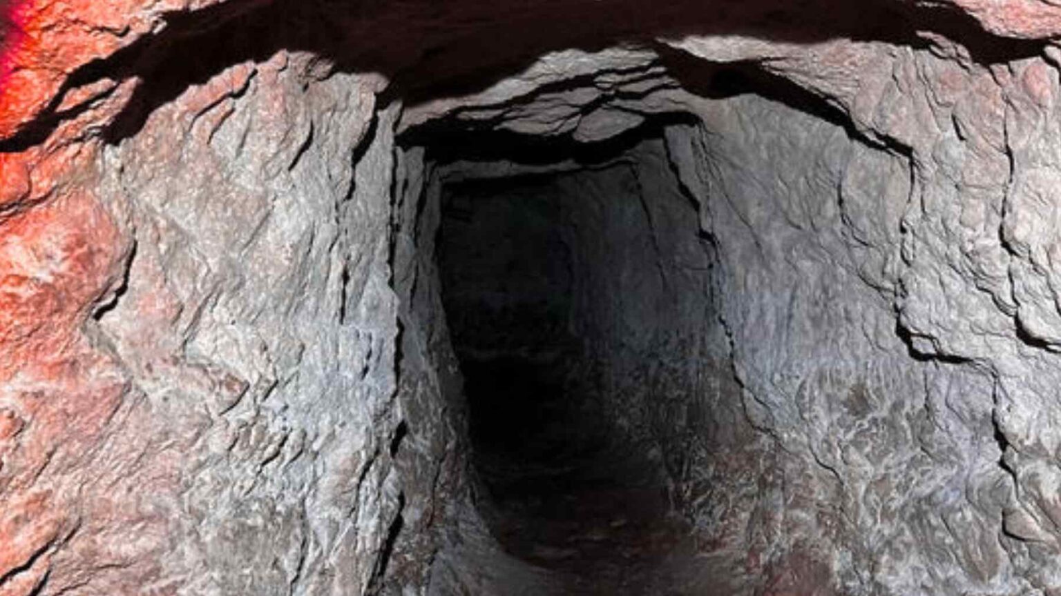 Pesquisadores que exploravam um túnel artificial na pequena ilha grega de Kastellorizo encontraram algo grudado nas paredes no escuro.