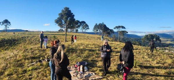 Turistas aguardam a revoada do papagaio-charão, que todos os ano no outono chegam à Urupema em busca do pinhão, a semente da araucária