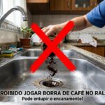 imagem 1781393237 wqzmim