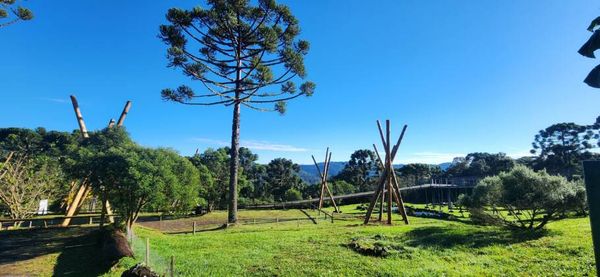 Para quem gosta de aventura, o Ecoparque Cachoeira Papuã é destino ideal