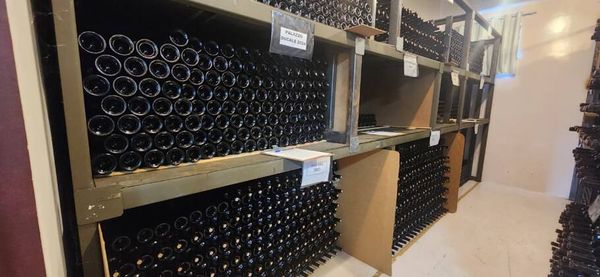 Como os vinhos de altitude transformaram a Serra Catarinense Guarda da safra de vinhos