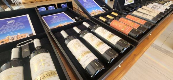 Como os vinhos de altitude transformaram a Serra Catarinense A Leone di Venezia oferece uma variedade de rótulos entre tintos, brancos e espumantes