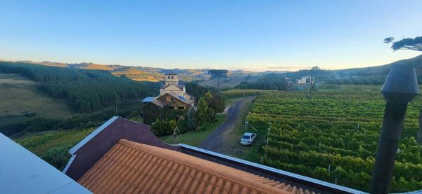 Como os vinhos de altitude transformaram a Serra Catarinense Vista de parte dos vinhedos da Leone di Venezia