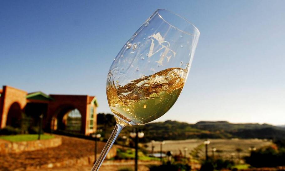 Como os vinhos de altitude transformaram a Serra Catarinense A vinícola Villa Francioni é um das que produzem vinhos finos de altitude na região da Serra Catarinense