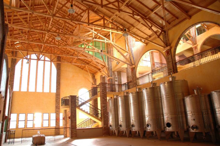 Como os vinhos de altitude transformaram a Serra Catarinense Área de produção da Villa Francioni, uma das pioneiras da Serra Catarinense