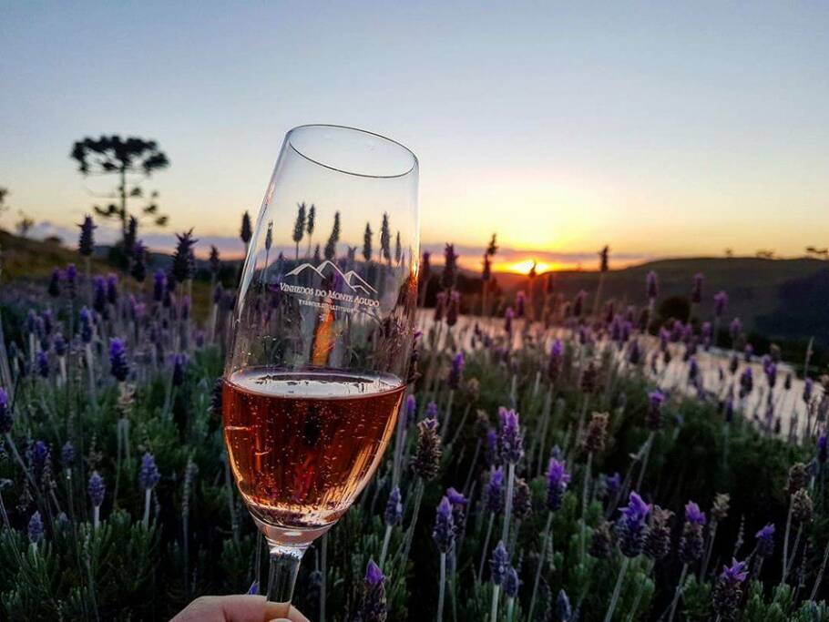 Como os vinhos de altitude transformaram a Serra Catarinense O “Sunset” é uma das atrações da vinícola Monte Agudo, em São Joaquim